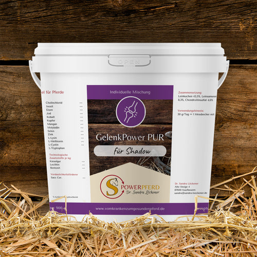 GelenkPower PUR Pferdefutter