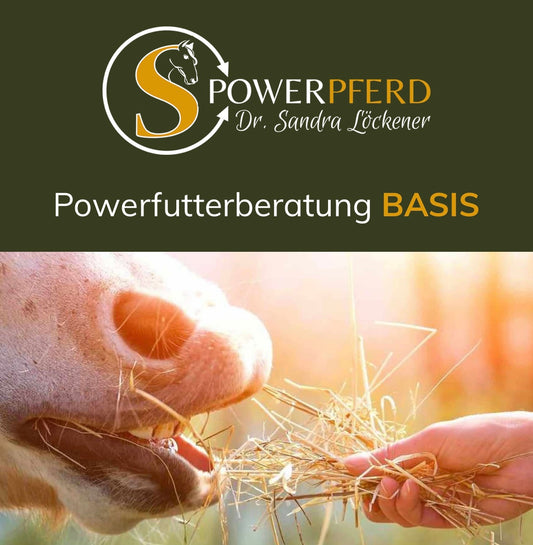 Ernährungsberatung für Pferde – Individuelle Futterempfehlungen zur Optimierung der Gesundheit und Leistungsfähigkeit von Pferden, basierend auf spezifischen Bedürfnissen und Lebensumständen