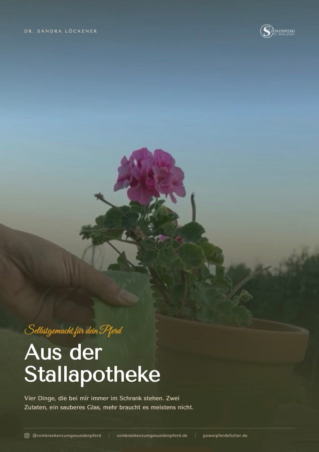 Titelseite des Büchleins „Aus der Stallapotheke“ von Dr. Sandra Löckener